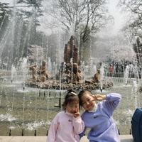 龍隊起重机械头像