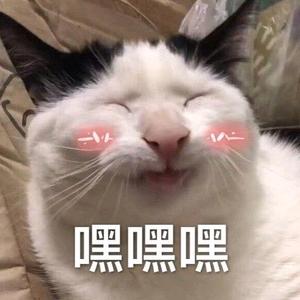 苏轼是谁头像