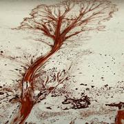 老友记312的个人资料头像