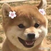 Super_Z的个人资料头像