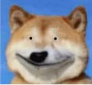 土土冲鸭的个人资料头像