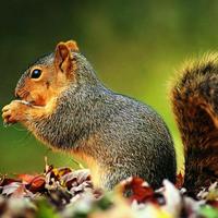 城南以北的song头像