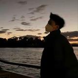 不做梵高67头像