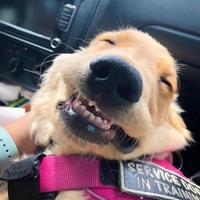 魔法雪碧e5j头像