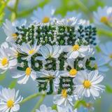 车模小丽11头像