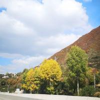 用户2523394871332头像