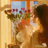敏锐哈德利0V8头像