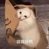 机智么哈头像