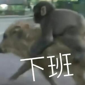 吗喽头像