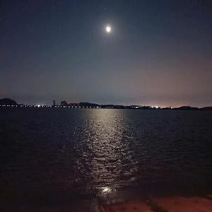 飘飞头像