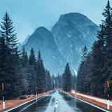 自信鞍山3N头像