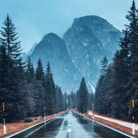 自信鞍山3N头像