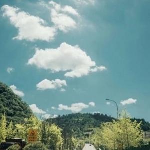 小哈头像