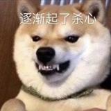 迖文西头像