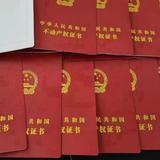 馨港家奉先头像