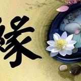 用户938272045572头像