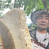 蜂蜜折的店头像