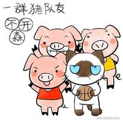 邹jiawei的个人资料头像
