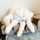 田田田田同志的个人资料头像