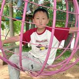 @奈何囍歡ـ٨ـﮩﮩ٨ـ（光伏发电项目）头像