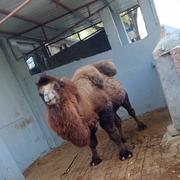 幸福一生585的个人资料头像