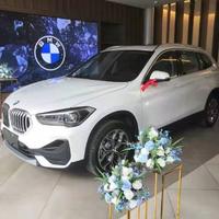 小海藤与发福蝶头像