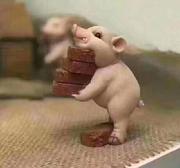 zero_20210902的个人资料头像