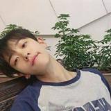 高杉姓高不姓矮头像
