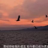 夏天的风eoJ9头像