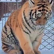程序与人生的个人资料头像