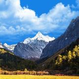 高原黄土厚头像