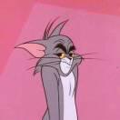 猪不戒的个人资料头像