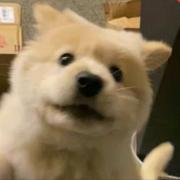 Muggle935的个人资料头像