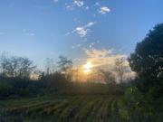 寂静星石668的个人资料头像