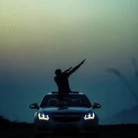 油门铲屎官头像