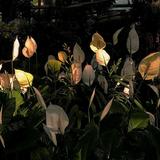 你笑起来真好看。头像
