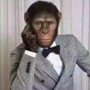 龙哥好的个人资料头像