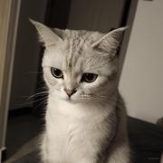 xgq的个人资料头像