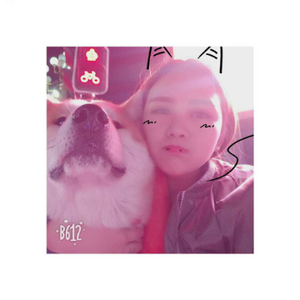 昭鑫小可爱头像