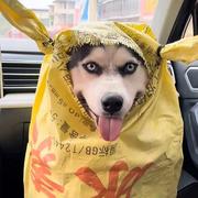 阳光小熊的个人资料头像