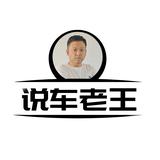 说車老王头像