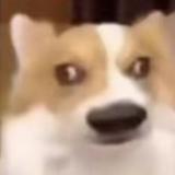 用户1665879208679头像