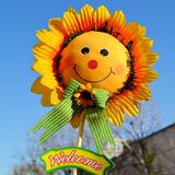 Sunflower3086头像