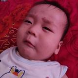 心灵语博头像