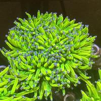 睿智铅笔aD头像