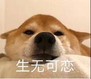 Jsaon_Huang的个人资料头像