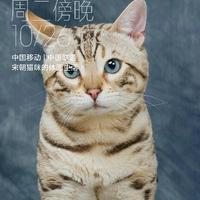 520等风来520头像