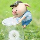 就是我88105的个人资料头像