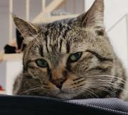 吃土吧少年的个人资料头像