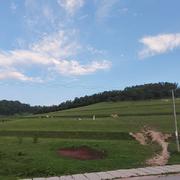 一次就好602的个人资料头像